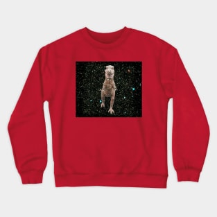 Vintage T Rex toy in space Crewneck Sweatshirt